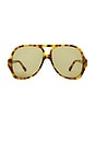 view 1 of 3 Salome Sunglasses in Havana & Green