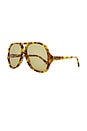 view 2 of 3 Salome Sunglasses in Havana & Green