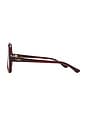 view 3 of 3 Aviator Sunglasses in Havana