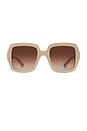 view 1 of 3 Square Sunglasses in Ivory & Brown