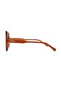 view 3 of 3 Square Sunglasses in Orange