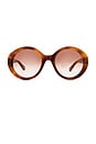 view 1 of 3 Marci Sunglasses in Havana & Brown