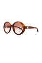 view 2 of 3 Marci Sunglasses in Havana & Brown