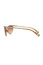 view 4 of 4 Cat Eye Sunglasses in Gold & Orange