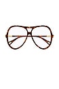 view 1 of 3 Round Sunglasses in Havana