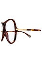 view 4 of 3 Round Sunglasses in Havana