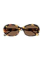 view 1 of 3 Lilli Oval Sunglasses in Shiny Scalloped Chlo? Havana Black & Brown