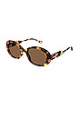 view 2 of 3 Lilli Oval Sunglasses in Shiny Scalloped Chlo? Havana Black & Brown