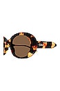 view 3 of 3 Lilli Oval Sunglasses in Shiny Scalloped Chlo? Havana Black & Brown