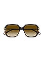 view 1 of 3 West Square Sunglasses in Shiny Solid Black & Shiny Medium Havana