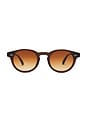 view 1 of 3 03 Sunglasses in Brown