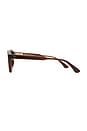 view 3 of 3 03 Sunglasses in Brown