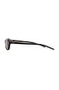 view 3 of 3 Edge Sunglasses in Brown Porcelain