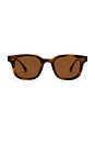view 1 of 3 LUNETTES DE SOLEIL in Tortoise & Dark Brown