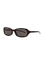 view 2 of 3 Code Sunglasses in Tortoise & Solid Brown