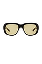 view 1 of 3 Louis Sunglasses in Black & Brown Yellow