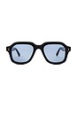 view 1 of 3 Kai Sunglasses in Soil Brown & Blue