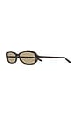 view 2 of 2 CODE サングラス in Tortoise