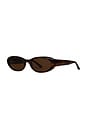 view 2 of 2 X16 Sunlgasses in Tortoise