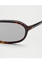 view 4 of 4 EDITH サングラス in Deep Tortoise