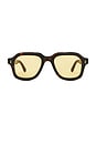 view 1 of 3 Kai Sunglasses in Deep Tortoise & Brown Yellow