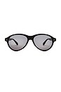 view 1 of 3 GAFAS DE SOL TOME in Black & Brown Yellow