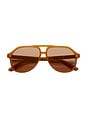 view 1 of 3 Sally Sunglasses in Amber Honey