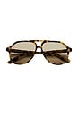 view 1 of 3 Sally Sunglasses in Lica Tortoise