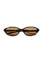 view 1 of 5 LUNETTES DE SOLEIL ELLIPSE  in Feral Tortoise