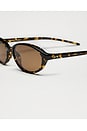 view 3 of 5 LUNETTES DE SOLEIL ELLIPSE  in Feral Tortoise