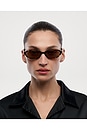 view 4 of 5 LUNETTES DE SOLEIL ELLIPSE  in Feral Tortoise