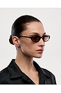 view 5 of 5 LUNETTES DE SOLEIL ELLIPSE  in Feral Tortoise