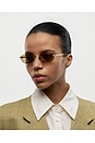 view 5 of 5 Cadenza Oval Sunglasses in Brown