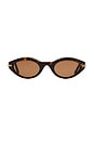 view 1 of 5 Lou Sunglasses in Terra Tortoise