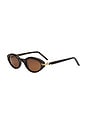 view 2 of 5 Lou Sunglasses in Terra Tortoise