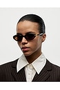 view 5 of 5 Lou Sunglasses in Terra Tortoise