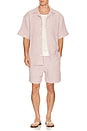 view 3 of 5 Danni Shorts in Rose