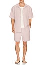 view 3 of 5 CAMISA DANNI in Rose