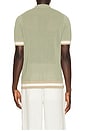 view 2 of 4 Quinn Polo in Sage