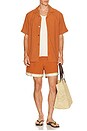 view 4 of 6 Baller Swim Shorts in Rust