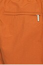 view 6 of 6 Baller Swim Shorts in Rust