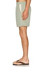 view 2 of 6 Plain Tailored Swim Short in Sage