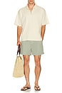 view 4 of 6 Plain Tailored Swim Short in Sage