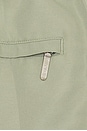 view 6 of 6 Plain Tailored Swim Short in Sage