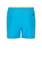 view 2 of 6 The Blue Barracudas 5.5