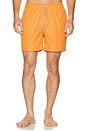 view 4 of 5 SHORT NATACIÓN THE in Medium Orange