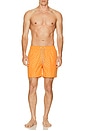 view 5 of 5 SHORT NATACIÓN THE in Medium Orange