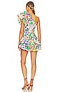 view 4 of 4 Gali Dress in Multi
