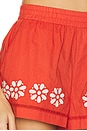 view 6 of 6 Samaya Short in Clay