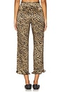 view 4 of 6 Kaja Pant in Leopard